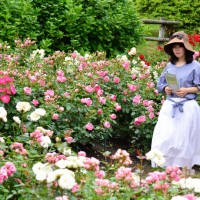 神戸・六甲山で「初夏の花めぐり ROKKO フォトグラフィックガーデン」を、5月11日から7月31日まで初開催