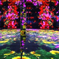 花の森、埋もれ失いそして生まれる/ Flower Forest: Lost, Immersed and Reborn teamLab, 2017, Interactive Digital Installation, Endless, Sound: Hideaki Takahashi