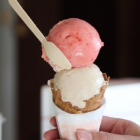 FLOTO GELATO & BISCUIT