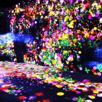 花の森、埋もれ失いそして生まれる/ Flower Forest: Lost, Immersed and Reborn teamLab, 2017, Interactive Digital Installation, Endless, Sound: Hideaki Takahashi