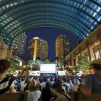 PICNICCINEMA・2017年開催の様子