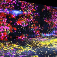 花の森、埋もれ失いそして生まれる/ Flower Forest: Lost, Immersed and Reborn teamLab, 2017, Interactive Digital Installation, Endless, Sound: Hideaki Takahashi