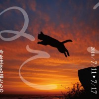 「横浜赤レンガ倉庫 ねこ写真展2018」