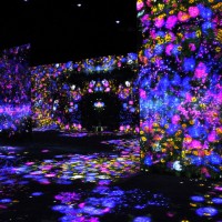 花の森、埋もれ失いそして生まれる/ Flower Forest: Lost, Immersed and Reborn teamLab, 2017, Interactive Digital Installation, Endless, Sound: Hideaki Takahashi