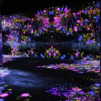 花の森、埋もれ失いそして生まれる/ Flower Forest: Lost, Immersed and Reborn teamLab, 2017, Interactive Digital Installation, Endless, Sound: Hideaki Takahashi