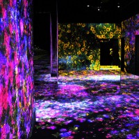 花の森、埋もれ失いそして生まれる/ Flower Forest: Lost, Immersed and Reborn teamLab, 2017, Interactive Digital Installation, Endless, Sound: Hideaki Takahashi