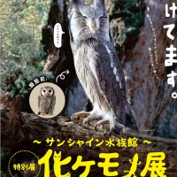 「化ける」生き物たちをテーマにした特別展「化ケモノ（ばけもの）展」がサンシャイン水族館で6月28日から11月25日まで開催