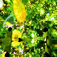 「Floating in the Falling Universe of Flowers」teamLab, 2016-2018, Interactive Digital Installation, Endless, Sound: Hideaki Takahashi