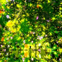 「Floating in the Falling Universe of Flowers」teamLab, 2016-2018, Interactive Digital Installation, Endless, Sound: Hideaki Takahashi