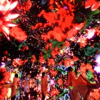 「Floating in the Falling Universe of Flowers」teamLab, 2016-2018, Interactive Digital Installation, Endless, Sound: Hideaki Takahashi