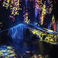 「MORI Building DIGITAL ART MUSEUM: EPSON teamLab Borderless」