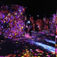 「MORI Building DIGITAL ART MUSEUM: EPSON teamLab Borderless」