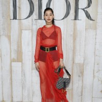 DIOR SADDLE BAG YUKO ARAKI DIOR CRUISE 2019