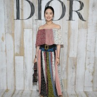 DIOR SADDLE BAG YANG ORA CAIYU DIOR CRUISE 2019