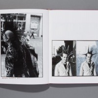 『Hairdos Of Defiance』Ed Templeton