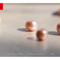 OFS galleryで「Lake of Grace #002 “Pearls of Lake Biwa”」開催