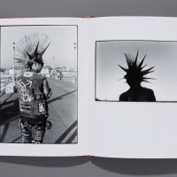 『Hairdos Of Defiance』Ed Templeton