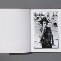 『Hairdos Of Defiance』Ed Templeton