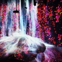 Untitled / teamLab Borderlessのための新作