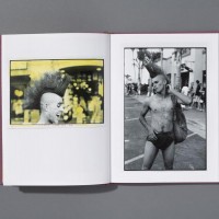 『Hairdos Of Defiance』Ed Templeton