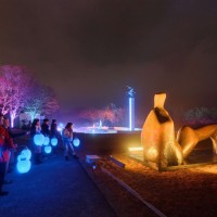 高橋匡太 《Glow with Night Garden Project in Hakone》 2017 年