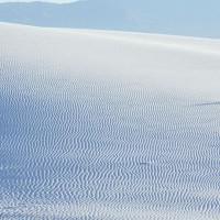 Dune Portraiture