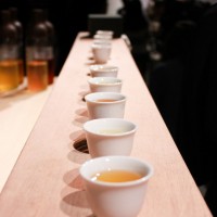 「Tea for Peace -03」が青山・国連大学中庭で開催