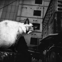 『Okinawa』 Anders Petersen