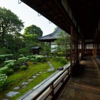 両⾜院 建仁寺⼭内