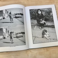 『Tangentially Parenthetical』Ed Templeton