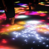 Drawing on the Water Surface Created by the Dance of Koi and People - Infinity teamLab, 2016-2018, Interactive Digital Installation, Endless, Sound: Hideaki Takahashi