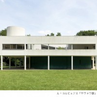 国立西洋美術館で「ル・コルビュジエ 絵画から建築へ―ピュリスムの時代」開催