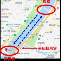 「ファスナーの船」運航図