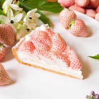 「特選 白イチゴ 〜初恋の香り〜 のタルト」ピース 税込1,630円