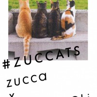 ズッカ（ZUCCa）から「#ZUCCATS」コレクションが発売