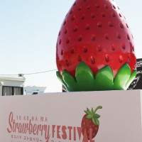 「ヨコハマ ストロベリー フェスティバル 2019（Yokohama Strawberry Festival 2019）」開催