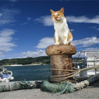 網地島、宮城県石巻市