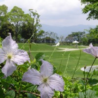 ヴァンジ彫刻庭園美術館