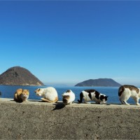 佐柳島、香川県仲多度郡