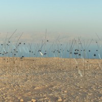 ANIMITAS (MÈRES MORTES), DEAD SEA, ISRAEL.  《アニミタス(死せる母たち)》、死海、イスラエル 2017年  フルHDビデオ、カラー、音声 10時間33分、Full HD video, colour, sound - 10 hours 33 min