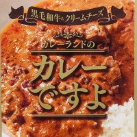 「CURRY&MUSIC JAPAN 2019」