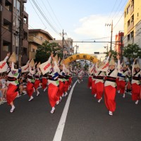 「阿波おどり」イメージ