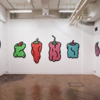 過去展示の様子｜西雄大「PEPPER」at VOILLD｜2016