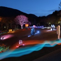 髙橋匡太《Glow with Night Garden Project in Hakone》