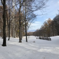 冬の北海道へトリップ! 雪・星空・食を堪能するデジタルデトックスの一人旅【EDITOR'S BLOG】