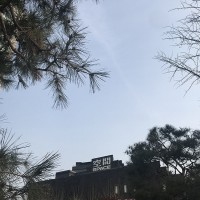 週末韓国トリップ! cafe onionとアラリオミュージアムで楽しむ、パン・珈琲・建築【EDITOR'S BLOG】