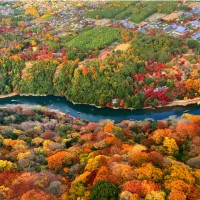 空から見る秋の京都