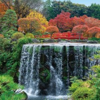 秋深まる日本庭園の絶景