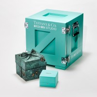 Toby McFarlan Pond for Tiffany & Co.