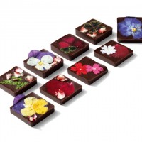 「MAAHA」（マーハ）  花のチョコレート  （9種計9個入） 3,537円